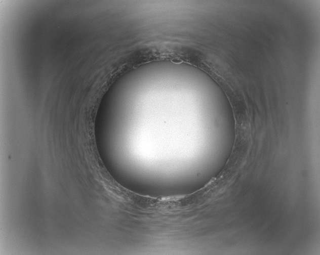 X0000067500865200604071224