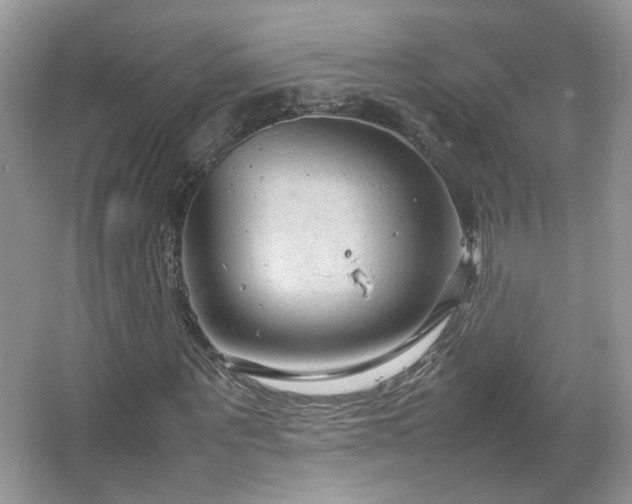 X0000067500867200604071224