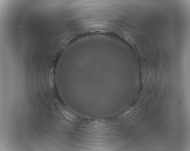 X0000067500868200604071224