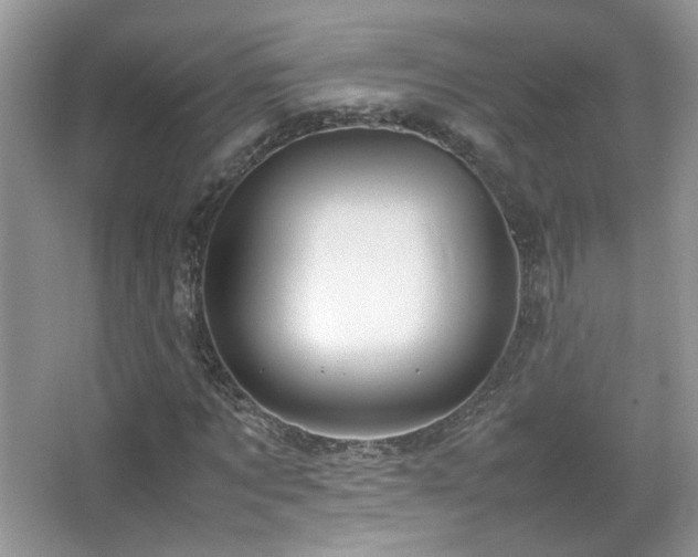 X0000067500869200604071224