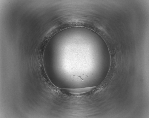 X0000067500870200604071224