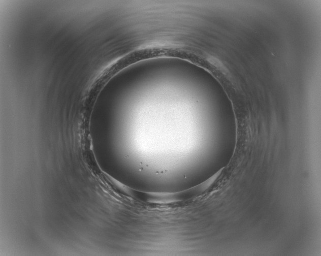 X0000067500872200604071224