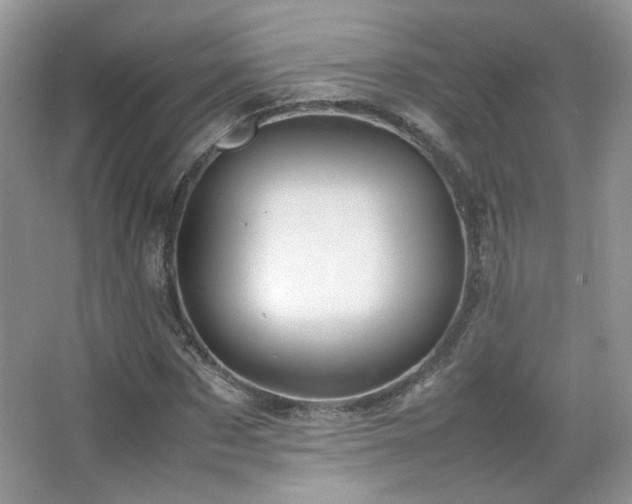 X0000067500873200604071223