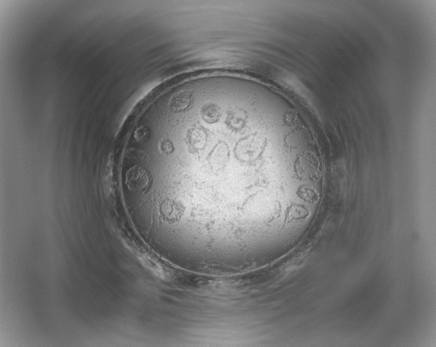 X0000067500875200604071223