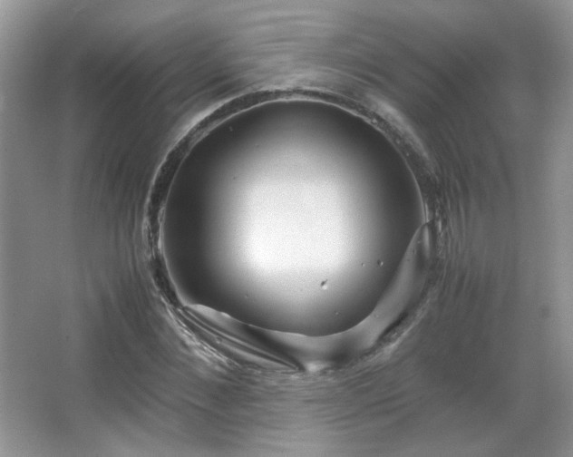 X0000067500876200604071223