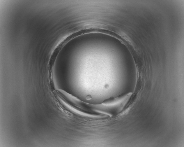 X0000067500877200604071223