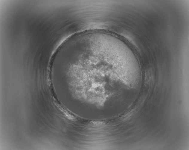 X0000067500878200604071223