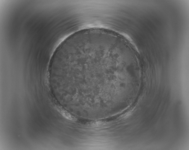 X0000067500879200604071223