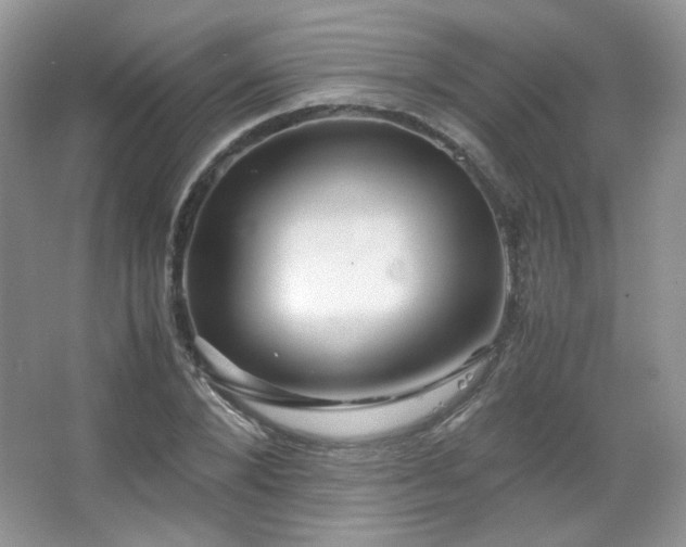 X0000067500880200604071223