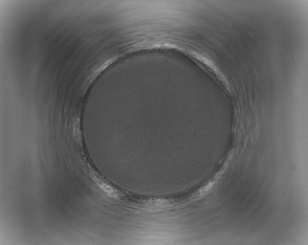 X0000067500881200604071223