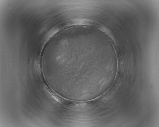 X0000067500882200604071223