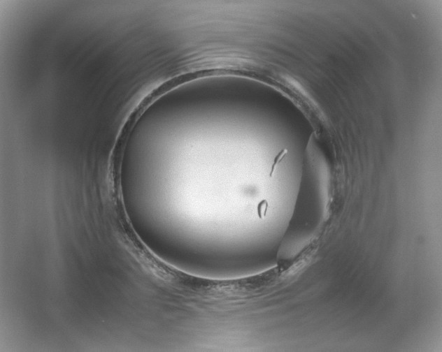 X0000067500883200604071223