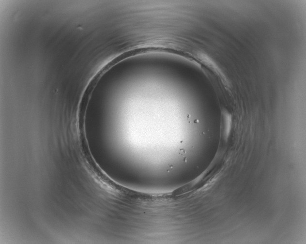 X0000067500884200604071223