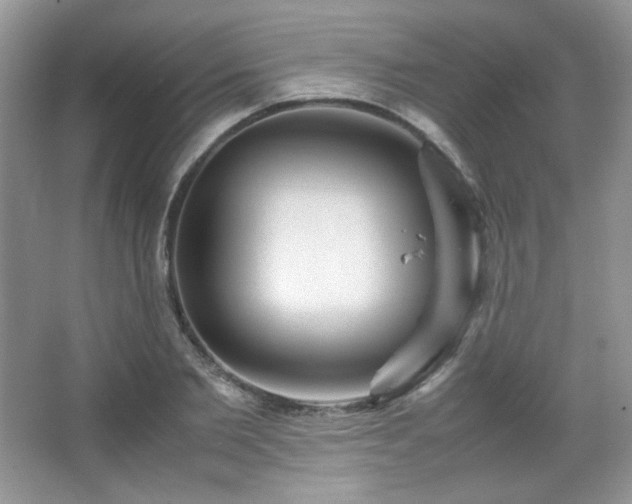 X0000067500885200604071223