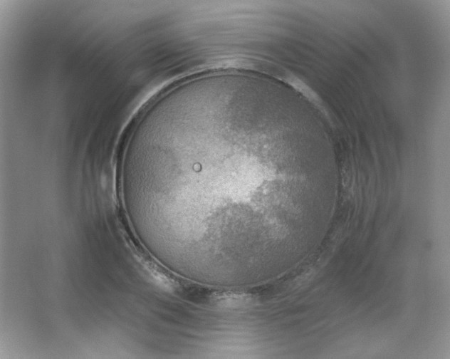 X0000067500886200604071223