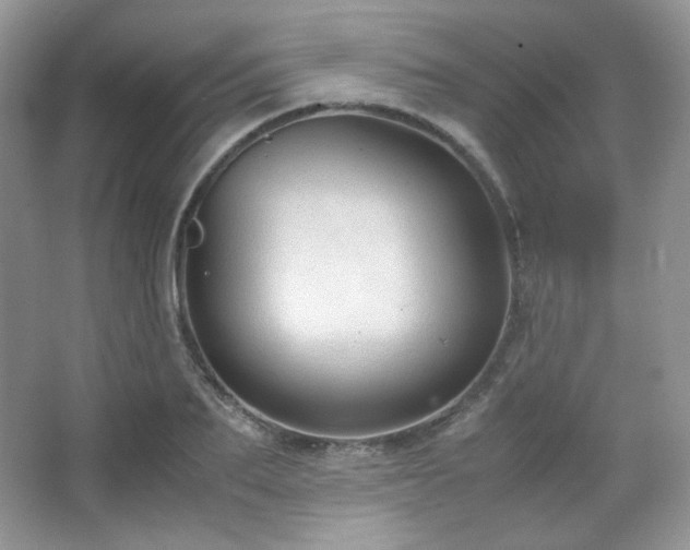 X0000067500887200604071223