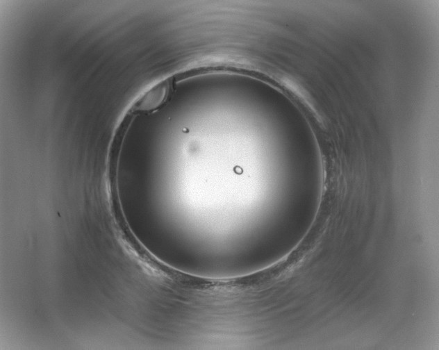 X0000067500888200604071223