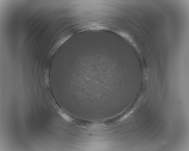 X0000067500889200604071223