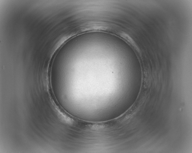 X0000067500890200604071223