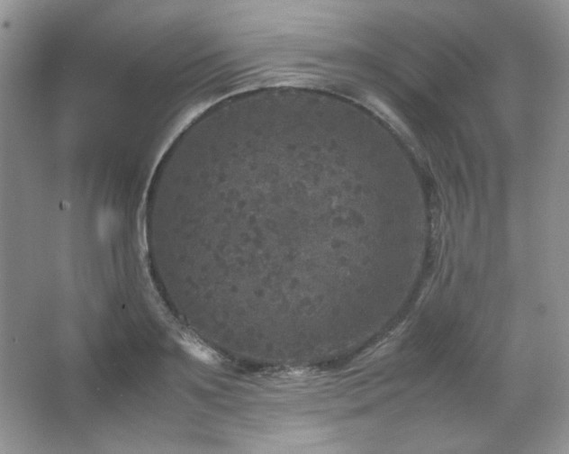 X0000067500891200604071223