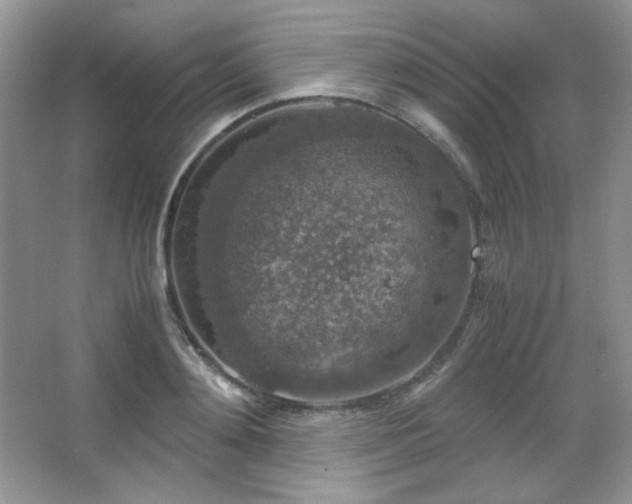 X0000067500892200604071223