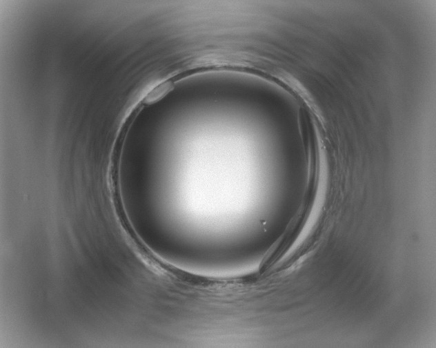 X0000067500893200604071223