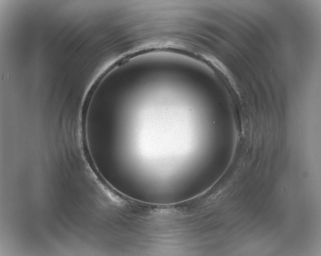 X0000067500894200604071223