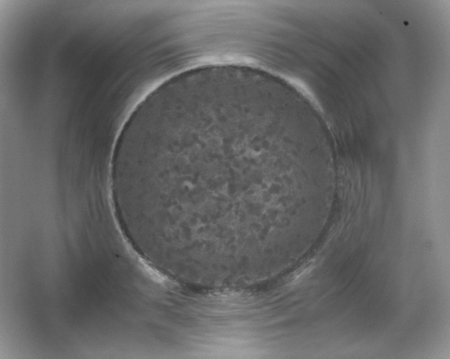 X0000067500895200604071223