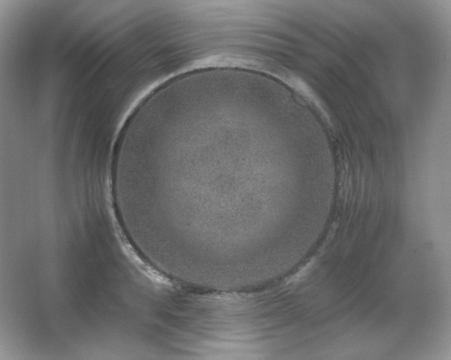 X0000067500896200604071223