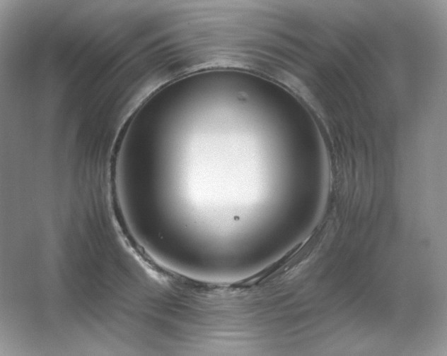 X0000067500898200604071223