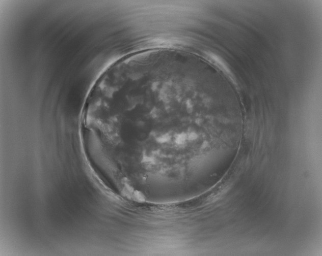 X0000067500899200604071223