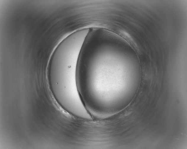 X0000067500900200604071223