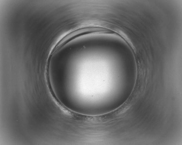 X0000067500901200604071223