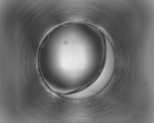 X0000067500904200604071223