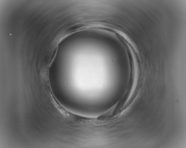 X0000067500905200604071223