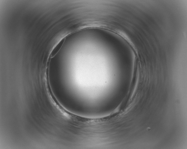 X0000067500906200604071223