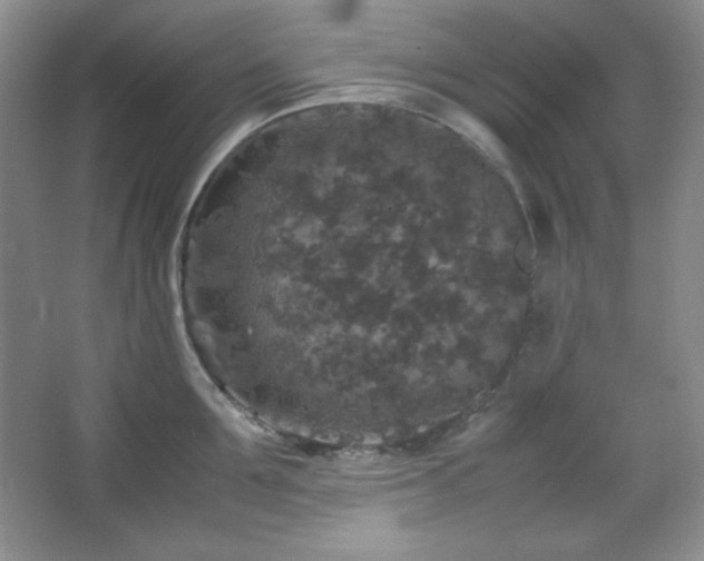 X0000067500907200604071223