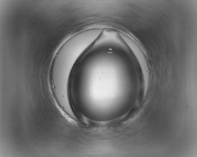 X0000067500909200604071223