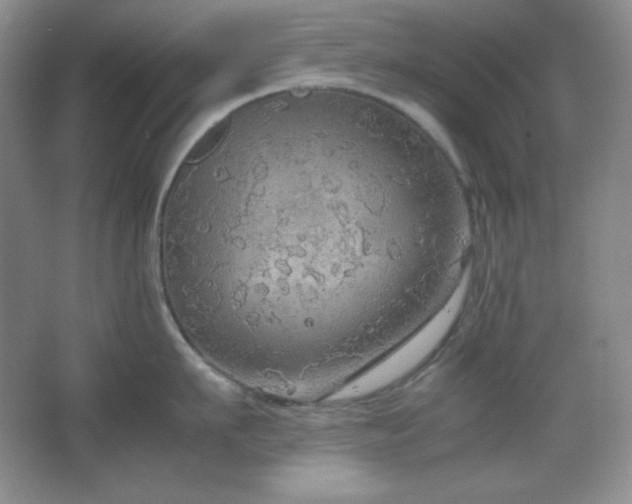 X0000067500911200604071223