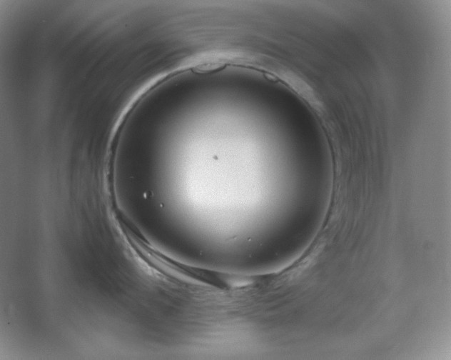 X0000067500912200604071223