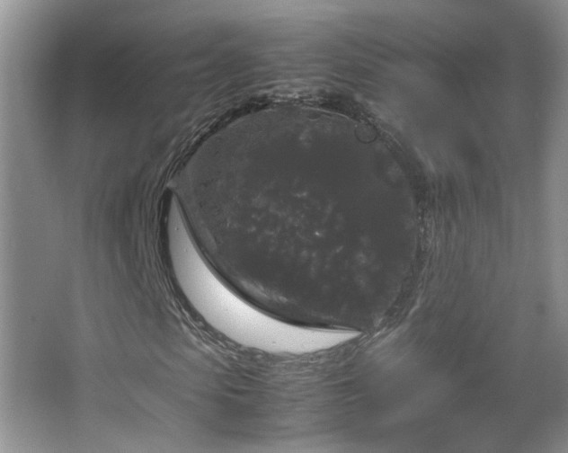 X0000067500913200604071222