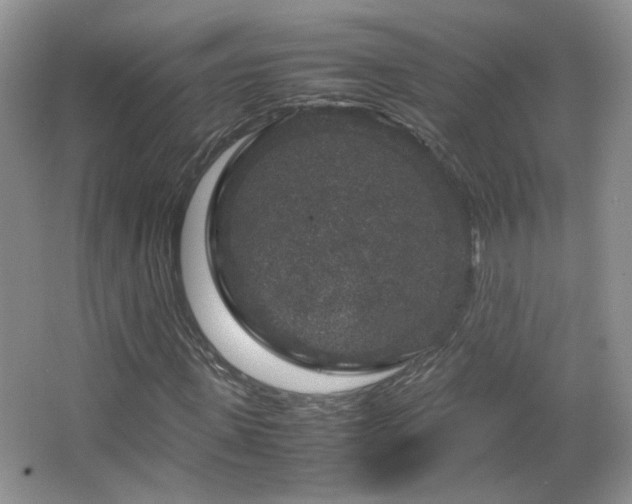 X0000067500915200604071222