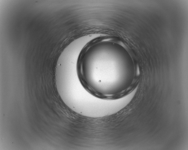 X0000067500916200604071222