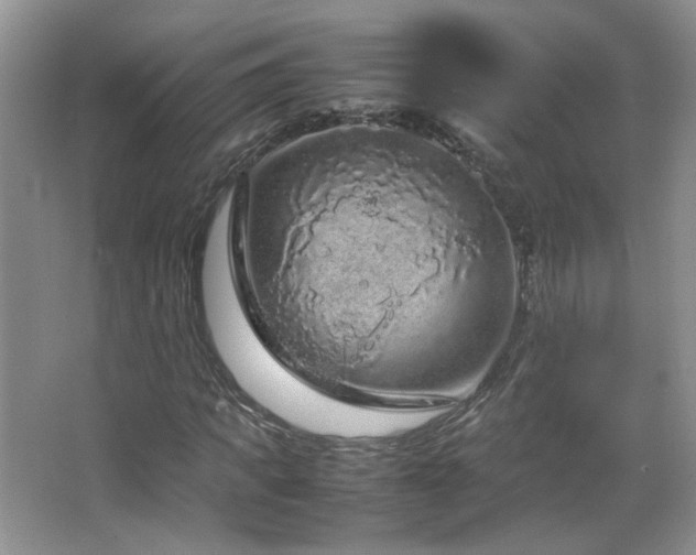 X0000067500917200604071222