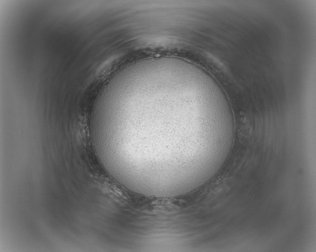 X0000067500918200604071222