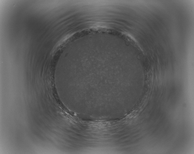 X0000067500919200604071222