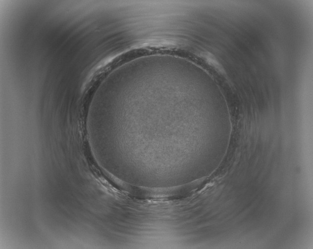 X0000067500920200604071222