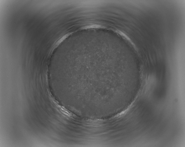 X0000067500921200604071222