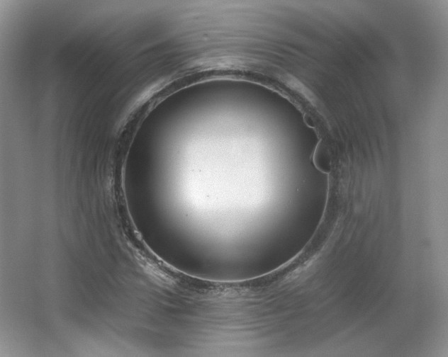 X0000067500922200604071222