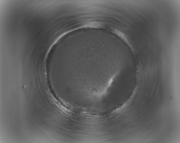 X0000067500923200604071222